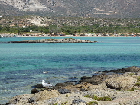 The view of Elafonissi Beach from the islet opposite with seagull on the shore