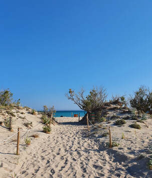 Elafonissi beach with pink coral sands